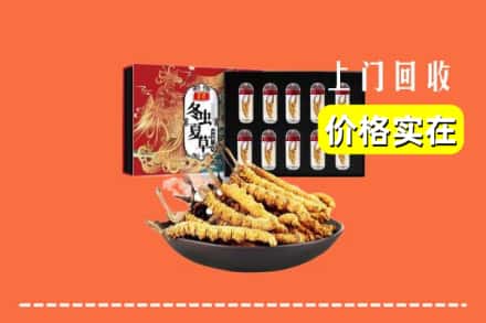 白山浑江区回收冬虫夏草