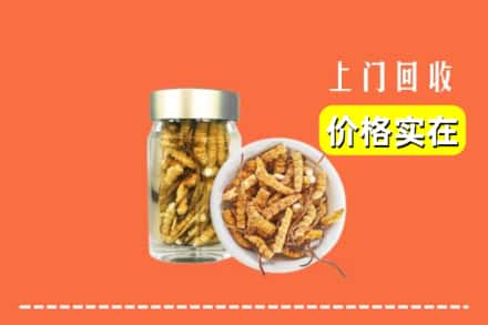 收购资讯:白山浑江区回收散虫草
