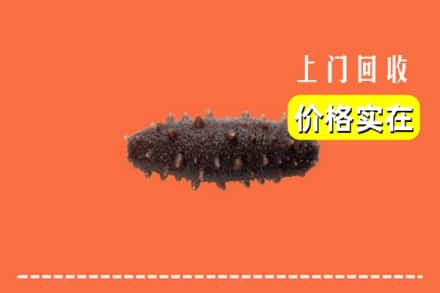 收购资讯:白山浑江区回收海参