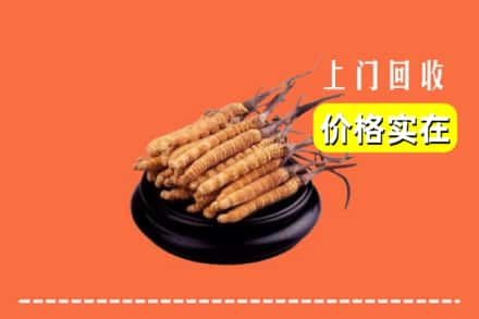 白山浑江区回收冬虫夏草